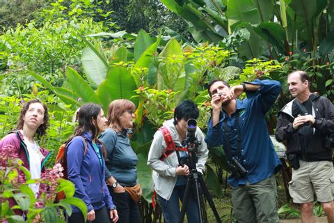Guided Rainforest Walk in Sarapiqui Costa Rica